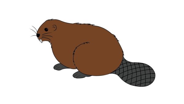 Нарисовать бобра