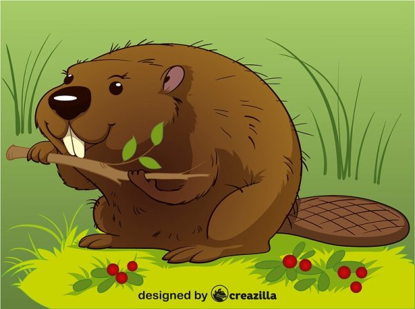 Бобер вектор