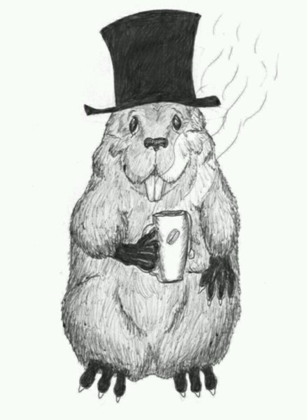 Бобер нарисованный