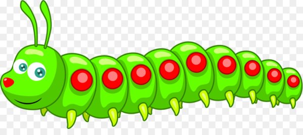 Гусеница - сороконожка