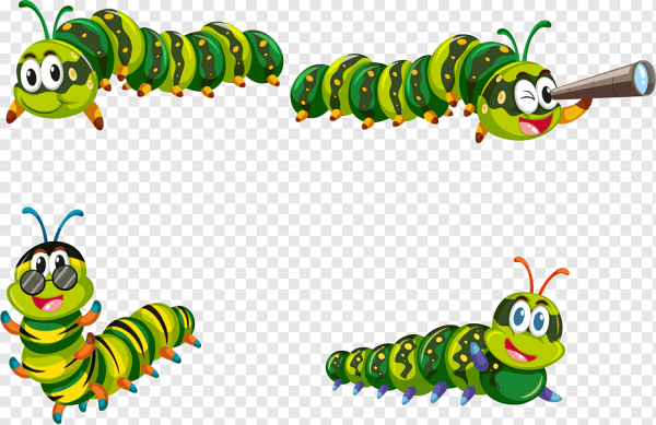 Изображение гусеницы для детей