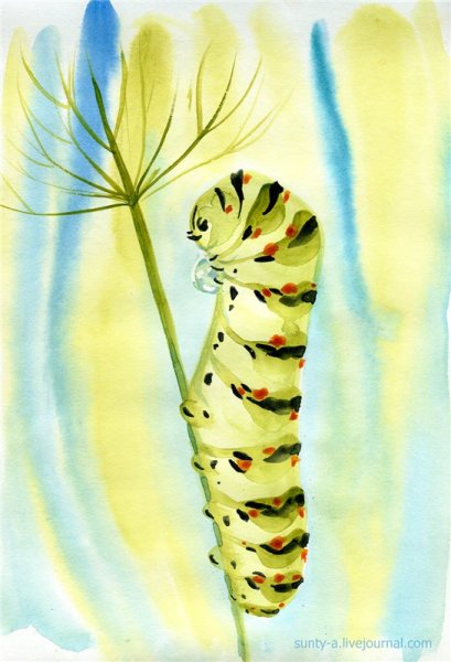 Рисование гусеницы