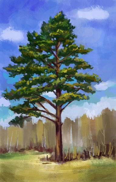 Деревья цвеными карандашом