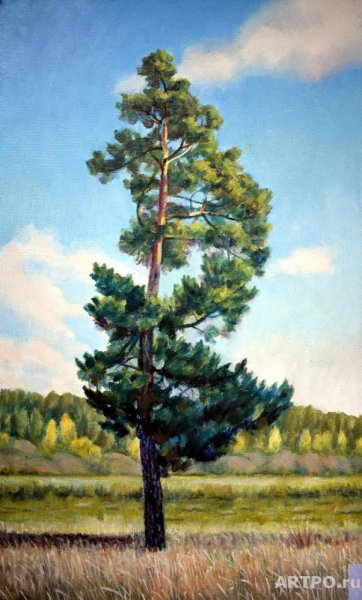 Нарисовать сосну