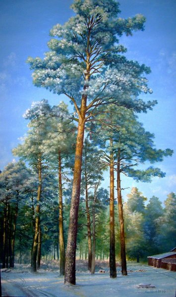 Сосна акварелью