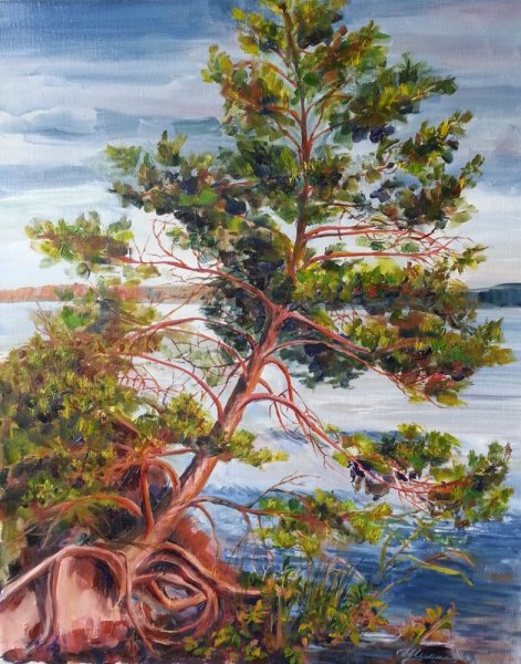 Три сосны на бугорочке