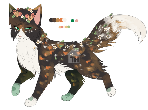 Коты Воители адопты