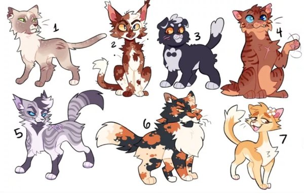 Окрасы котов воителей адопты