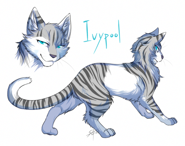 Ivypool коты Воители