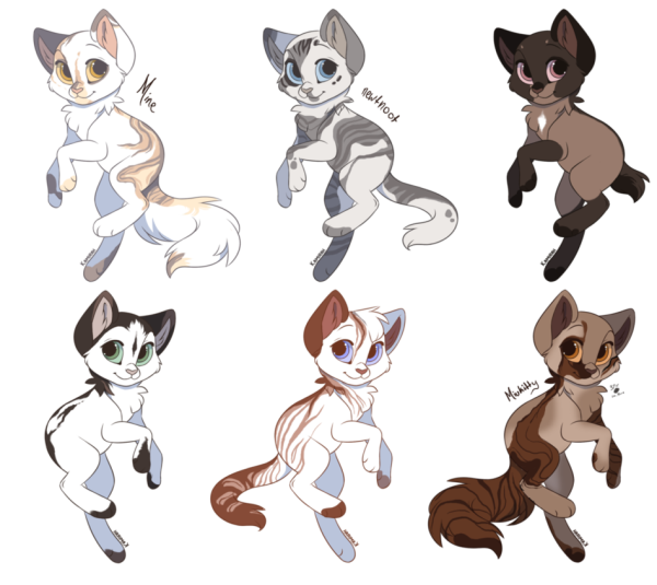 Реф персонажа кота