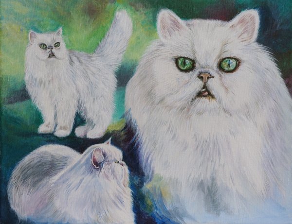 Кот перс акварелью