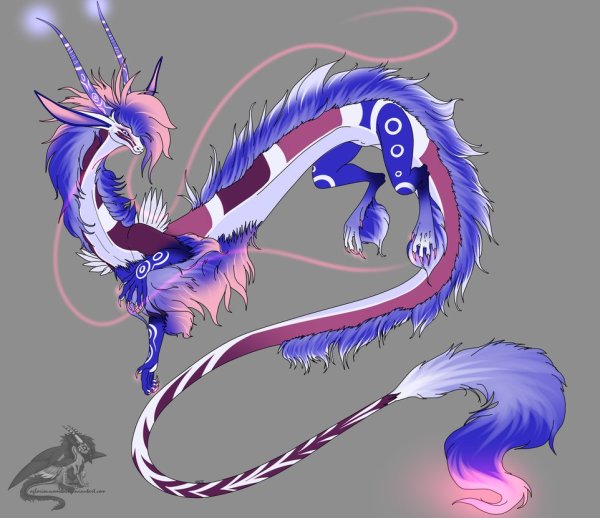 Китайский дракон адопт