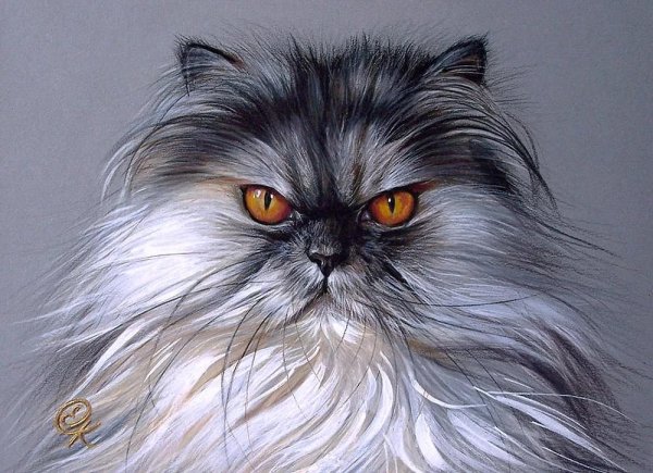 Художник Колотуша Елена (Elena Kolotusha)