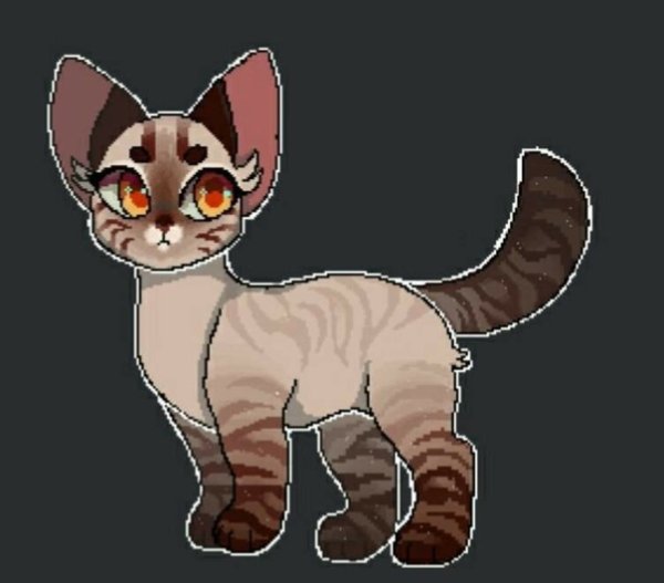 Адопты кв коты Воители