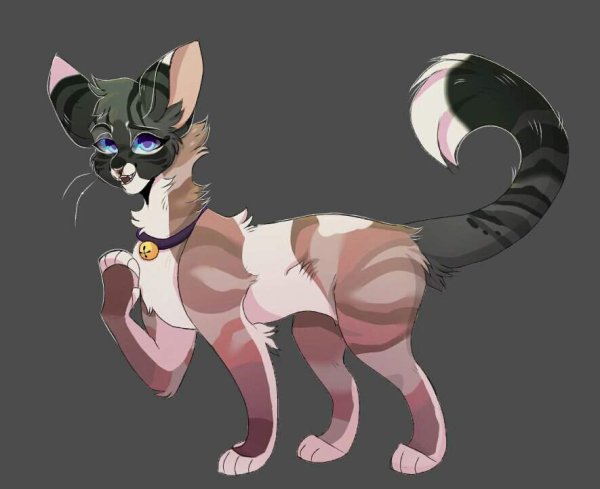 Адопты кв коты Воители