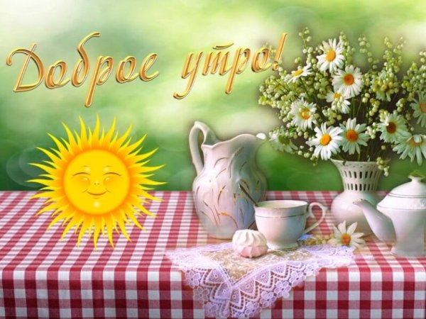 ДС добрым летним утром