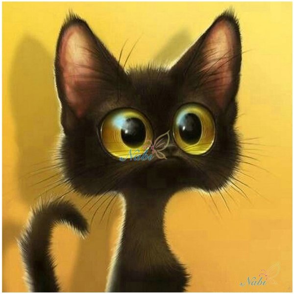 Котик с большими глазами