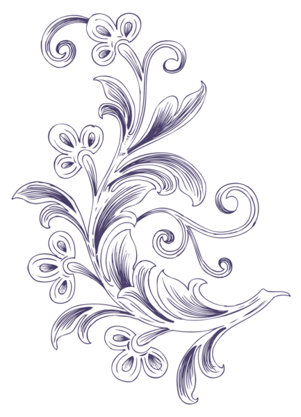 Растительный орнамент вектор