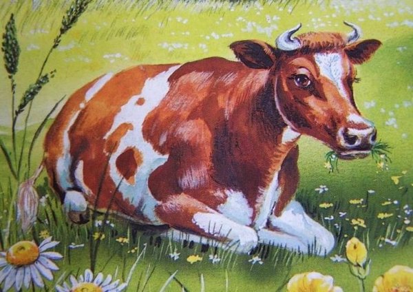 Корова мультяшная