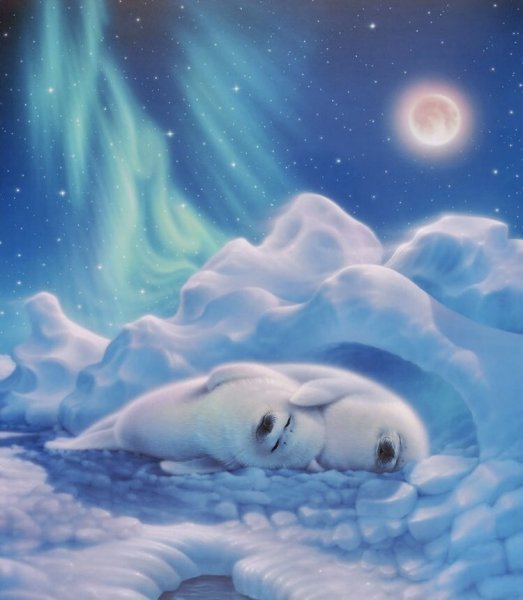 Кирк Рейнерт Северное сияние