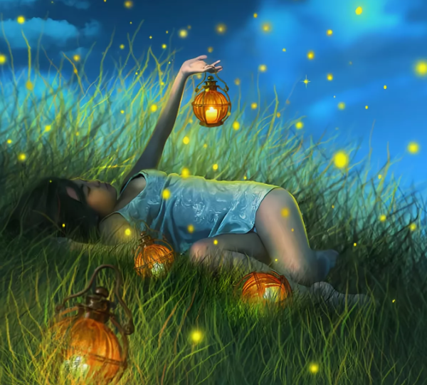 Сказочная летняя ночь