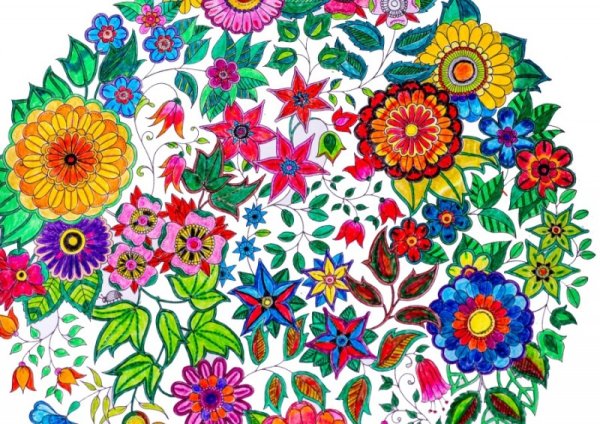 Цветок разукрасить цветной
