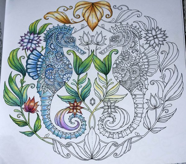 Джоанна Басфорд драконы