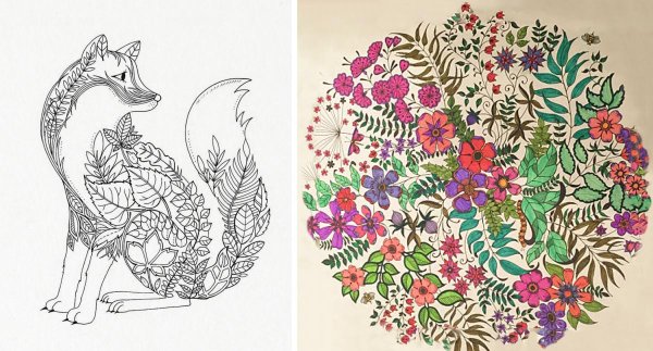 Живой мир творческие рисунки для взрослых