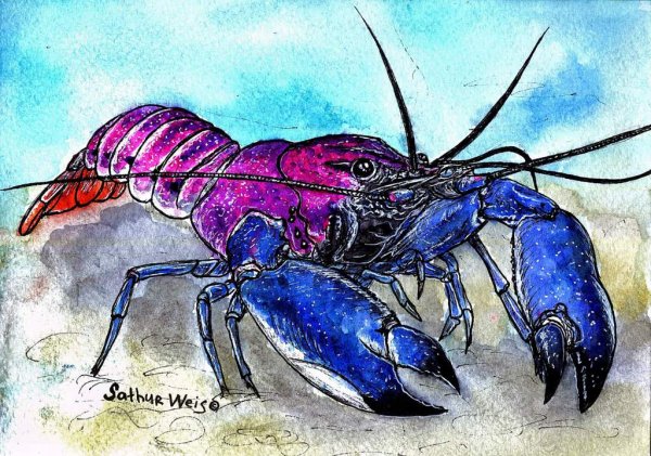 Краб страшный фантастический рисунок для детей