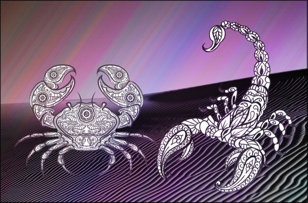 Скорпион и Близнецы