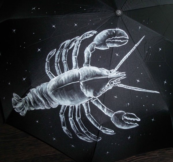 Знаки зодиака rak