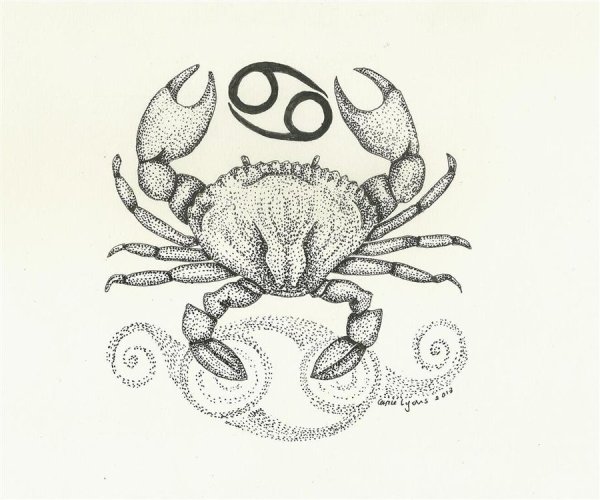 Знаки зодиака рисунки