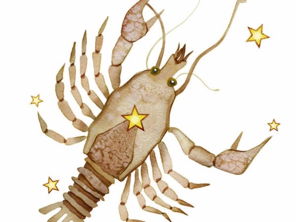 Бич знаки зодиака