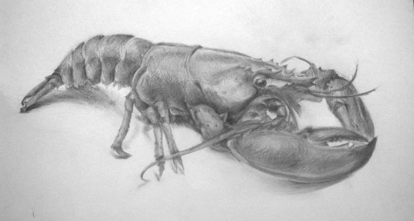 Эскизы татуировок rak