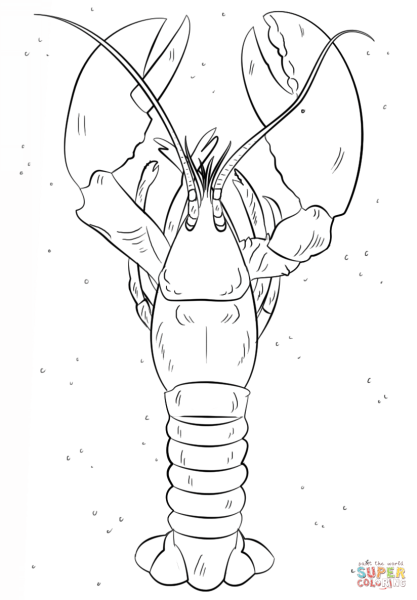 Омар раскраска