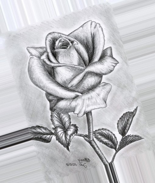 Красивые рисунки карандашом