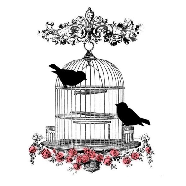 Винтажные птицы