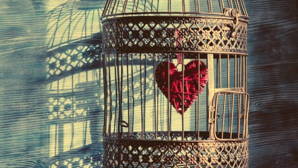 Птица в клетке