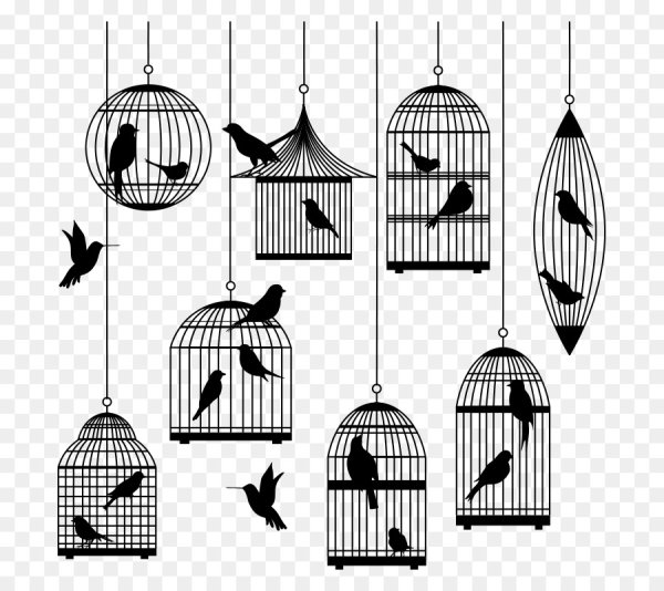 Птичка в клетке