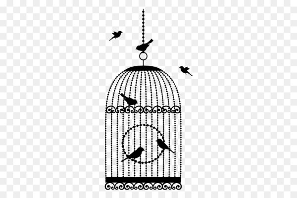 Птица из клетки