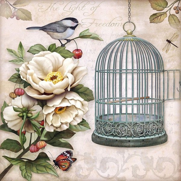 Лука-с Птичья клетка отшив