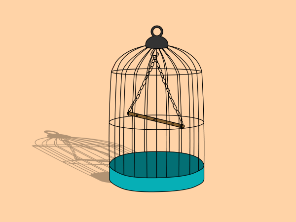 Рисуем клетку для птиц