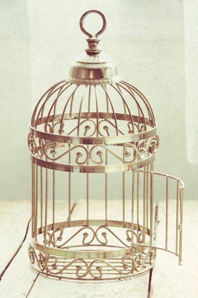 Красивая клетка для птиц