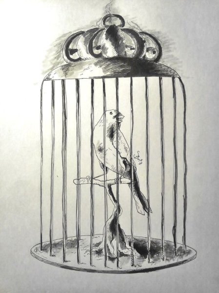 Клетка карандашом