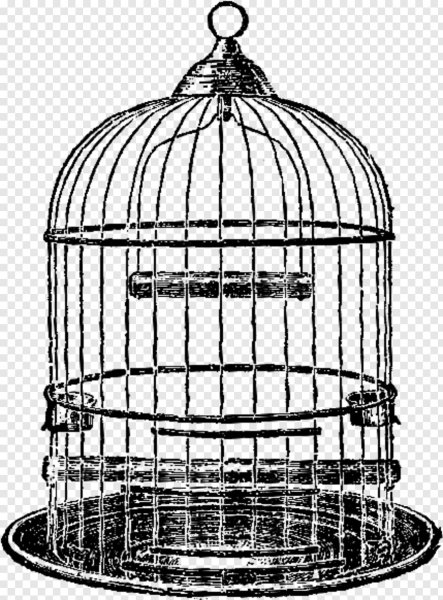 Белый фон в клетку