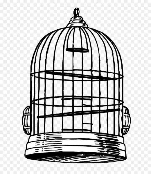 Клетка на прозрачном фоне