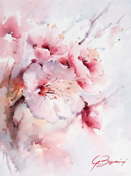 Цветы акварель Giuliano Boscaini