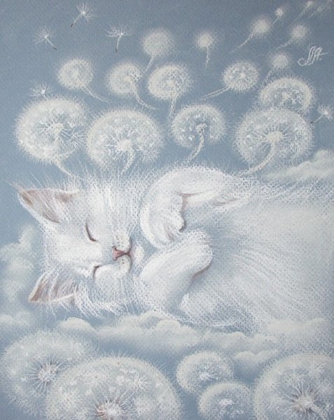 Аннет Логинова коты