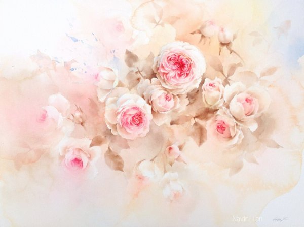 Роза акварель