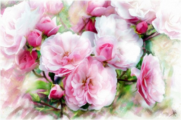 Художница Yvonne Harry